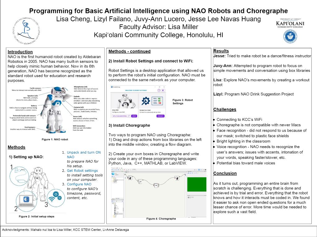 A brochure for our project.